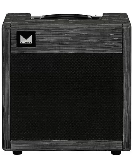 Morgan Amplification AC20 1x12